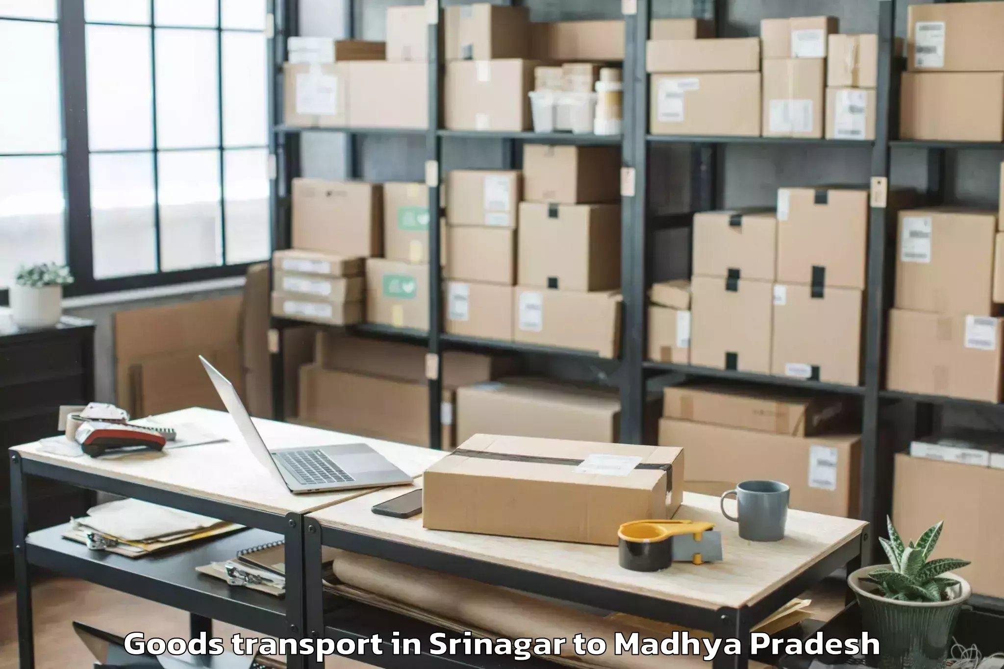 Hassle-Free Srinagar to Iit Indore Goods Transport